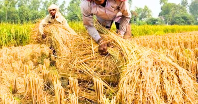 वर्ल्ड ट्रेड आर्गेनाइजेशन (WTO) की बैठक में भारत और 20 से अधिक देश कृषि सब्सिडी के नियमों में बदलाव पर जोर देंगे। विकासशील देश घरेलू सहायता कार्यक्रमों में अधिक लचीलापन चाहते हैं जो किसानों की मदद करें और खाद्य सुरक्षा सुनिश्चित करेंगे।